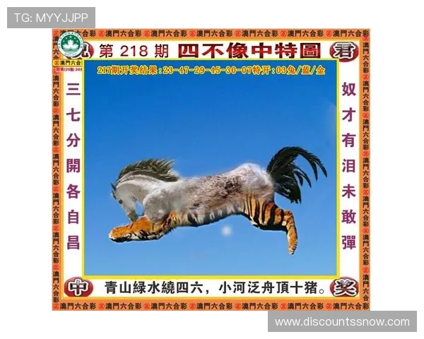 K8.com凯发网投最新优惠活动和促销方案全攻略助你轻松提升游戏收益